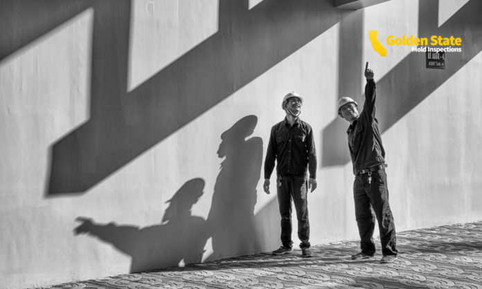 Using Post-Construction Mold Inspections Assessments to Prevent Future Mold