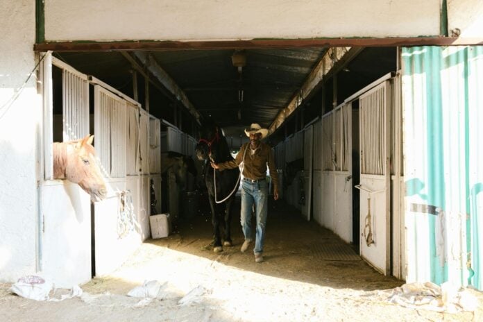 The Future of Ranching is About Looking Forward